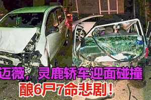 勞勿奪命車禍！邁薇，靈鹿轎車迎面碰撞，釀6屍7命悲劇！