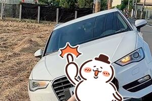 為了閃避三寶來襲愛車不慎「犁田」，意外讓女子拍出唯美照！網友表示：這就是人家說的樂觀面對嗎？