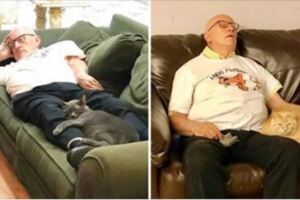退休老爺爺把收容所貓咪當家人　每天抽3小時「陪午睡」感動喵星人