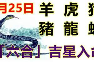 8月25日生肖運勢_羊、虎、狗大吉