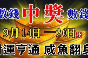 9月14日~20日財運亨通，不是中獎就是數錢的生肖