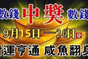 9月15日~20日財運亨通，不是中獎就是數錢的生肖