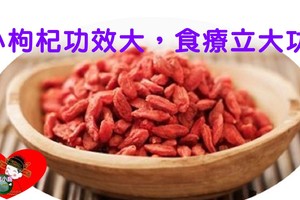 作為輔助西醫吃藥之外的食療