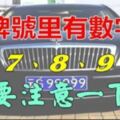 有車的人注意了，如果你的車牌號裡有5、7、8、9、0，真是恭喜你啦