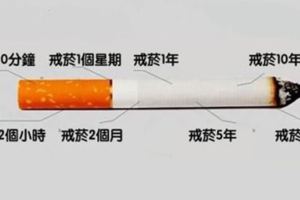 從你決定戒煙的那一刻開始「身體其實就有了變化」，看了這些結果終於秒懂戒菸的效果！