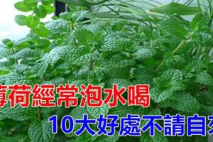 夏天用薄荷泡水喝，身體會收穫6大好處！看完你會感謝我