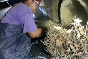 下水道淤塞多年    高雄菊時代逢雨必淹證據找到了