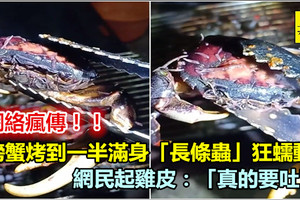 螃蟹烤到一半滿身「長條蟲」狂蠕動 網民起雞皮：「真的要吐了」 《內附視頻》