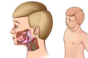 肝癌、肺癌、胃癌的真正原因！原來是這些因素…..