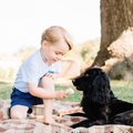 英國劍橋小王子喬治過3歲生日時，竟然因為這張照片被罵爆還被動物保育協會嚴重警告！