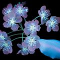 會發光的花兒 攝影師藉助熒光拍攝花朵