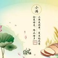 小滿養生--吃「苦」嘗「鮮」各有裨益