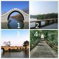 心理測試：你喜歡那個橋樑？測這輩子到底辜負了多少人