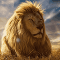 心理測試: 哪只獅子最兇猛? 測出你這輩子是富貴命還是勞碌命!