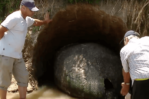 超酷！農夫散步在洞穴裡發現了一顆比恐龍蛋更加珍貴的寶物！