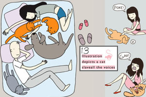 貓奴們才懂！13張溫馨插畫描繪出所有貓奴們的心聲