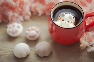 好治癒！日本 Cafe Cat&Paw 貓肉球棉花糖