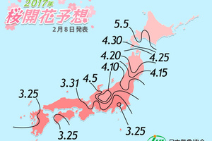 這篇完美的日本賞櫻攻略 讓你輕鬆賞櫻花