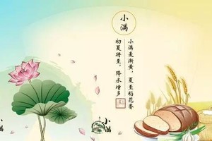 小滿養生--吃「苦」嘗「鮮」各有裨益