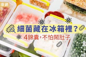 細菌藏在冰箱里？4錦囊 不怕鬧肚子