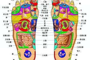 「18種病症」所對應的腳底反射區