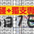 (03/07)六合彩【獨碰+獨支專欄】天機數~港號~僅供參考