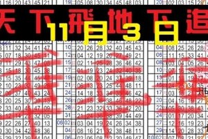  11月3日 六合彩 準準準 天下飛地下追 ~二星獨碰