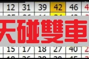  12/03 六合彩 踏破鐵鞋無覓處 ~獨碰 獨支 3星~專車