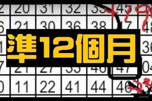 (12/06)六合彩.141.期.精緻.二星.天地碰.獨支.尾數.參考 