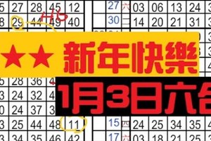 [01/03] 六合彩 ★★ 新年快樂，２星參考　獨支