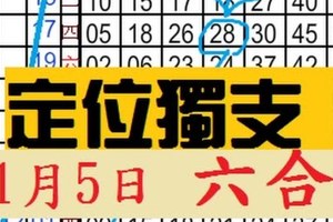 [01/05] *********...定 位 獨 支...****定點定位 沙沙版 獨支獨車****