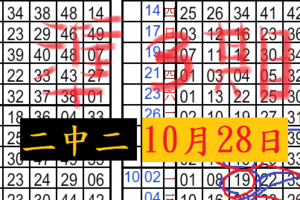 10月28日 六合彩 二中二一支‵‵‵‵拼輸贏‵‵‵‵ 八九不離十