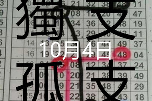 10月4日 六合彩六合 獨支獨碰 專車一支 版路