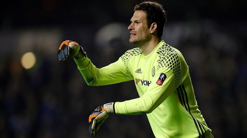 Begovic.jpg