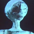 2017發現懷孕的外星人媽媽和外星人寶寶屍體？