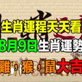 【生肖運程天天看】8月9日生肖運勢 雞，猴，鼠大吉 