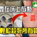 塵蟎掰掰！不用開水燙不用太陽曬，只要在床上放點「這個」，輕鬆殺死所有蟎蟲！ 