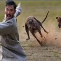 人被狗追的時候，為什麼人只要一蹲下狗就會跑？爲了安全一定要學起來！