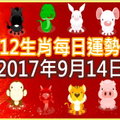 【每日運勢】12生肖之每日運勢2017年9月14日 
