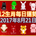 【每日運勢】12生肖之每日運勢2017年8月21日