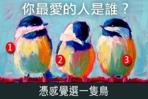 憑感覺選隻鳥！測潛意識裡你最愛的人是誰！