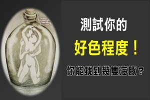 測試你的好色程度！60秒內，你能找到幾隻海豚?