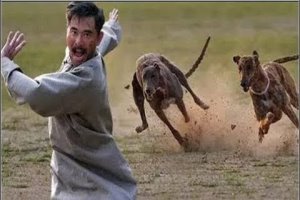 人被狗追的時候，為什麼人只要一蹲下狗就會跑？爲了安全一定要學起來！