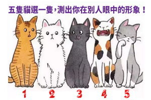 準爆！五隻貓選一隻，測出你在別人眼中的形象！