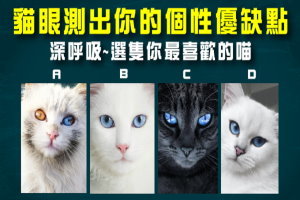 準到讓你無言！你覺得哪隻貓眼最美？測出你的個性優缺點！