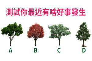 心理測試：憑直覺在四棵樹裡面選一個，測試你最近有啥好事發生
