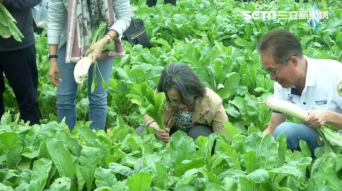 人生第一次拔蘿蔔！蕭美琴笑稱邱議瑩：以前黑珍珠現在是「白蘿蔔西施」