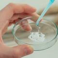 砒霜立功了！中國科學家用砒霜「修復」抑癌蛋白，臨床試驗已啟動