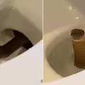 以為馬桶不乾淨　一按沖水竄出劇毒