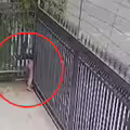沒發現鐵門關上了　女童被夾緊下場曝